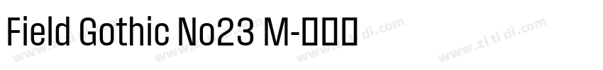 Field Gothic No23 M字体转换